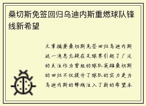 桑切斯免签回归乌迪内斯重燃球队锋线新希望 桑切斯免签回归乌迪内斯重燃球队锋线新希望